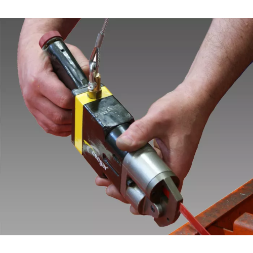 Cenger Fall Arrestor
