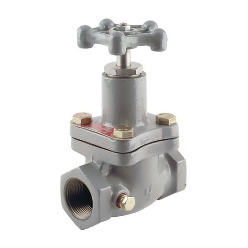 Fisher N300 Globe Valve and N400 Angle Valve Series - N310-10