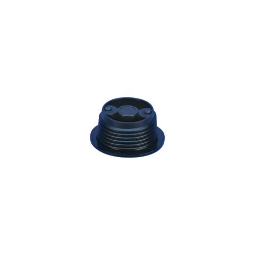 nVent LENTON -
CPP - Tapered Plastic Screw-In Plug for A12 EL50CPP