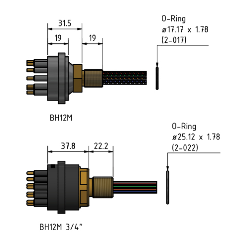 MacArtney BH25M Brass Bulkhead male