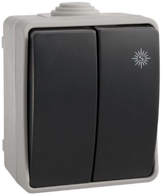 SOLERA Sealed double 2-way switch 10AX 250V ~ . IP54. Surface. - 3313